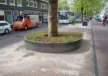 Delft Nieuwe Langendijk Boomeilanden 5