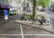 Delft Nieuwe Langendijk Boomeilanden 9