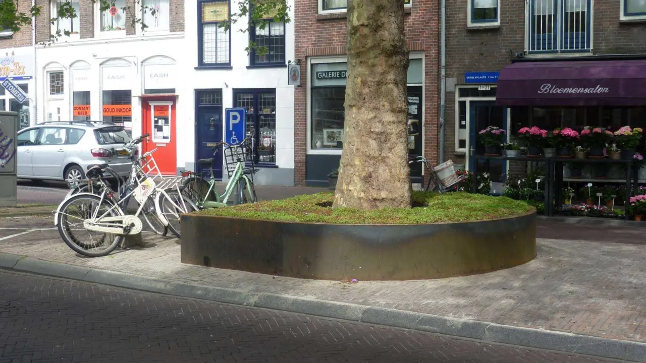 Delft Nieuwe Langendijk Boomeilanden 1