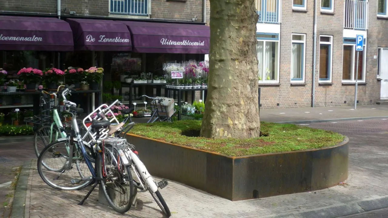 Delft Nieuwe Langendijk Boomeilanden 10