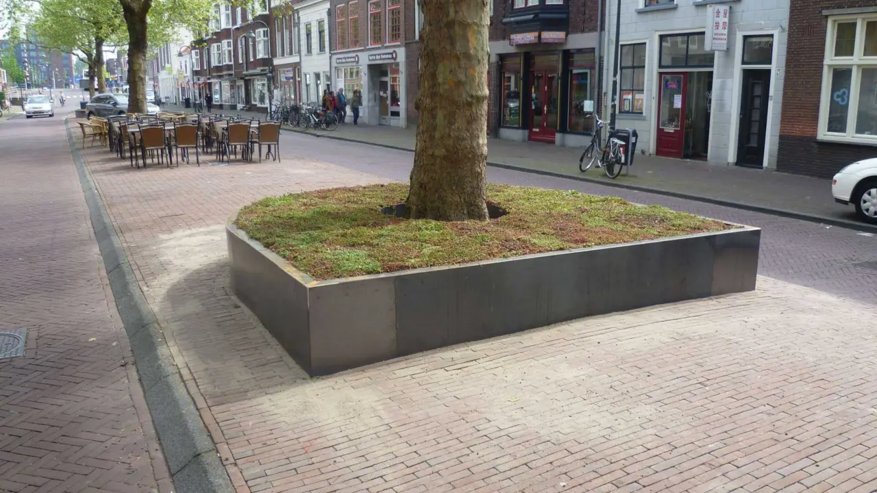 Delft Nieuwe Langendijk Boomeilanden 6