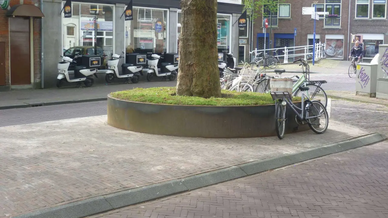 Delft Nieuwe Langendijk Boomeilanden 8