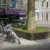 Delft Nieuwe Langendijk Boomeilanden 10