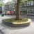 Delft Nieuwe Langendijk Boomeilanden 7