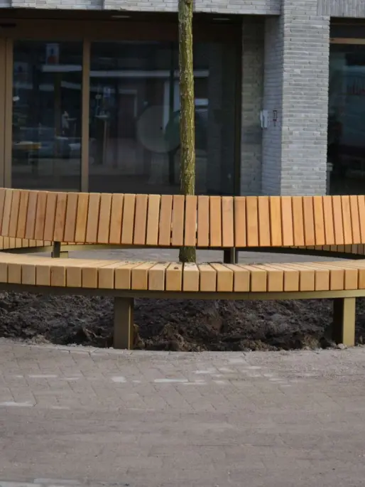 Den Dungen 1