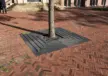 Maatwerk boomrooster bij Shell