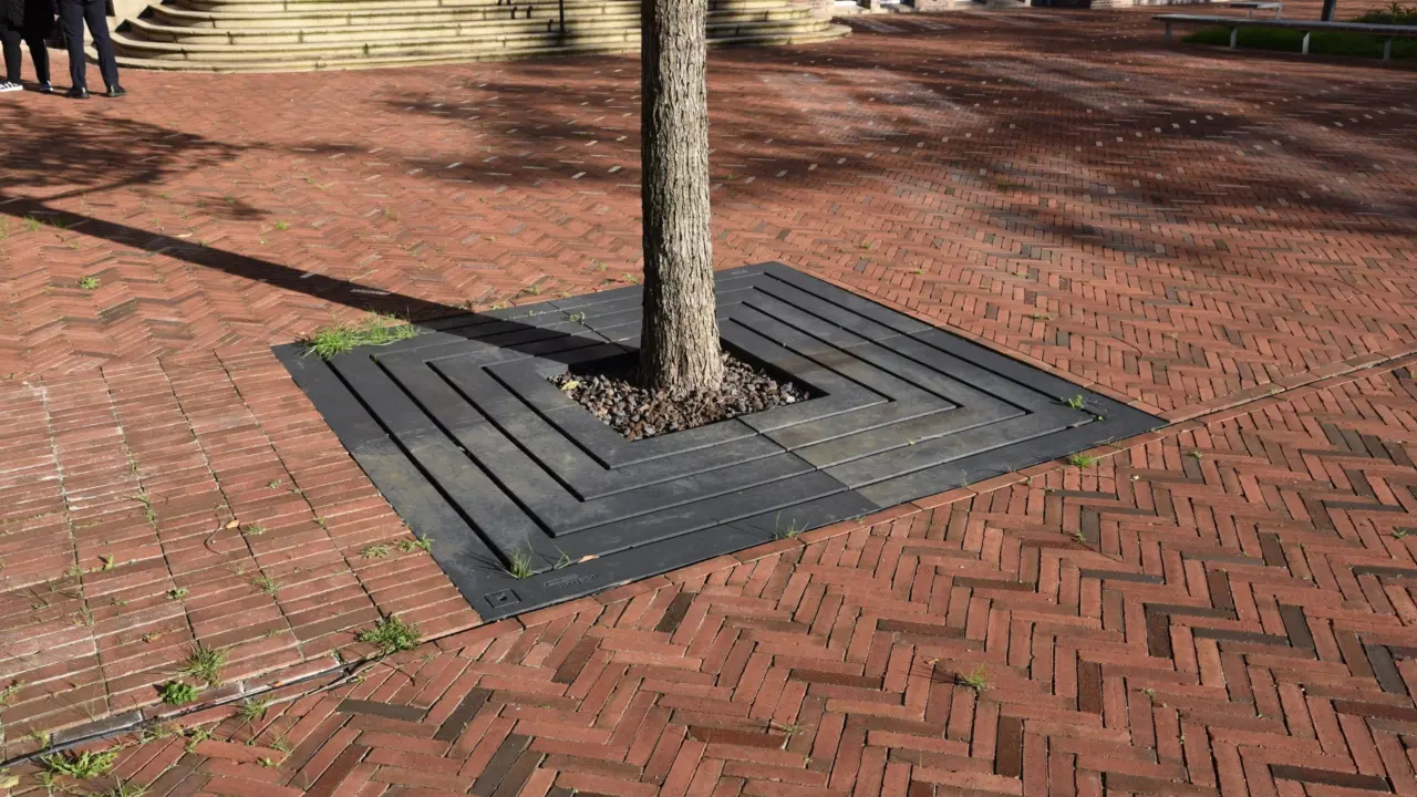 Maatwerk boomrooster bij Shell