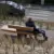 Domburg Boulevard van Schagen Plane II Duo Comfort 7