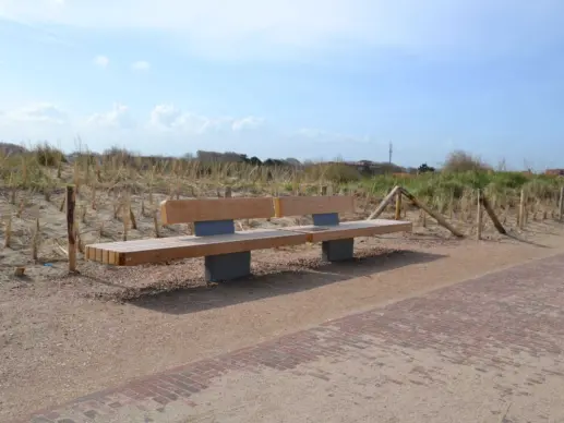 Plane II Duo Comfort in het duingebied van Domburg