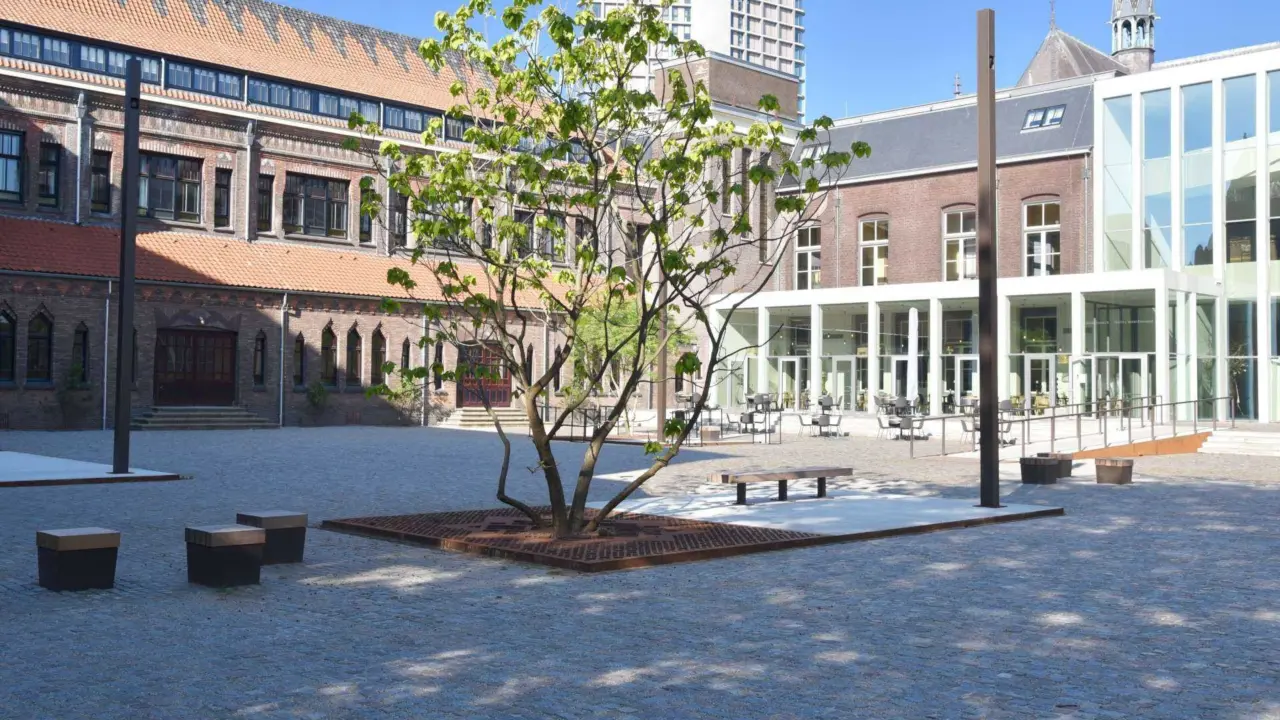 Eindhoven Domusdela - Herinrichting van de buitenruimte