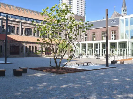 Eindhoven Domusdela - Herinrichting van de buitenruimte