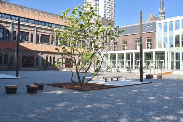 Eindhoven Domusdela - Herinrichting van de buitenruimte
