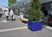 Eindhoven Woensel Woens XL solid plantenbakken plane zittingen 1