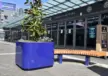 Eindhoven Woensel Woens XL solid plantenbakken plane zittingen 7