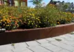 Geldrop Brede School Coevering Plantenbakken 6