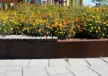 Geldrop Brede School Coevering Plantenbakken 7