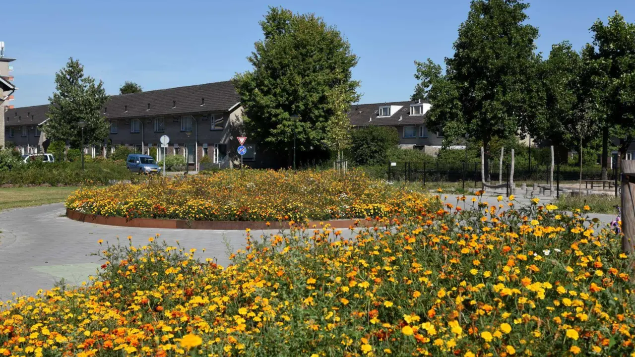 Geldrop Brede School Coevering Plantenbakken 4