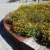 Geldrop Brede School Coevering Plantenbakken 3