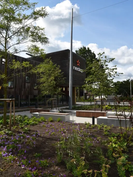 Groenlo Nedap Grijsen park en straatdesign 80