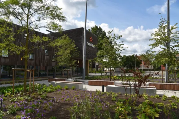 Groenlo Nedap Grijsen park en straatdesign 79