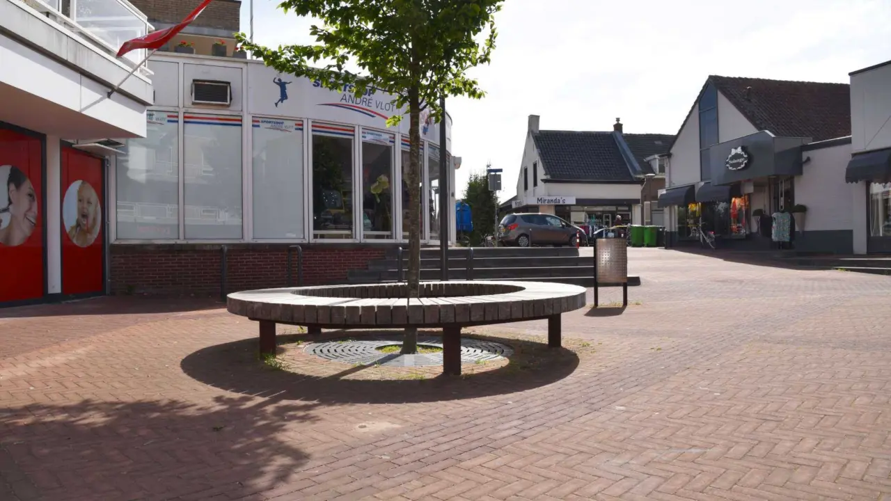 Hardinxveld Giessendam Winkelgebied Den Bogerd Peulenstraat Plane 6