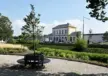 Harlingen Harmenspark Wenters boombank met rugleuning