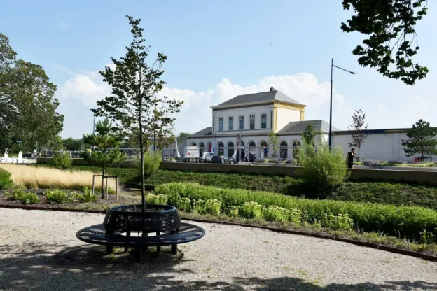 Harlingen Harmenspark Wenters boombank met rugleuning