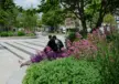 Heerlen Van Grunsvenplein Bankauflagen Sonderanfertigung 7