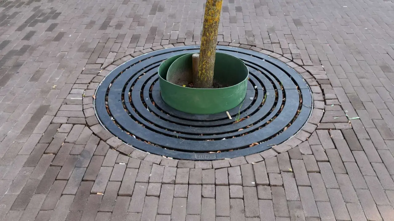 Hilversum - Gooilandplein - Circles Boomrooster voor de openbare ruimte 1