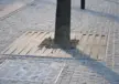 Baumrost Wave