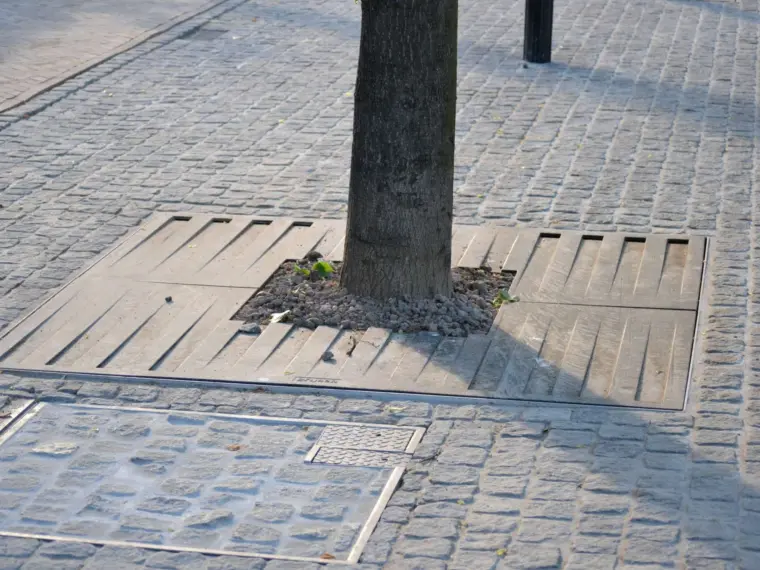 Vierkante boomroosters in het straatwerk