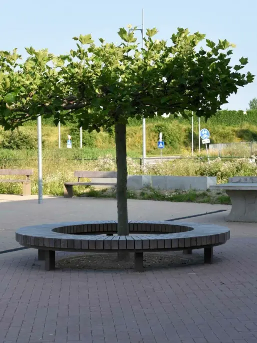 Lent Citadel College Quadrat enkelzits met rugleuning Quadrat picknickset Plane boombank Constructo 50 4 1619x1080