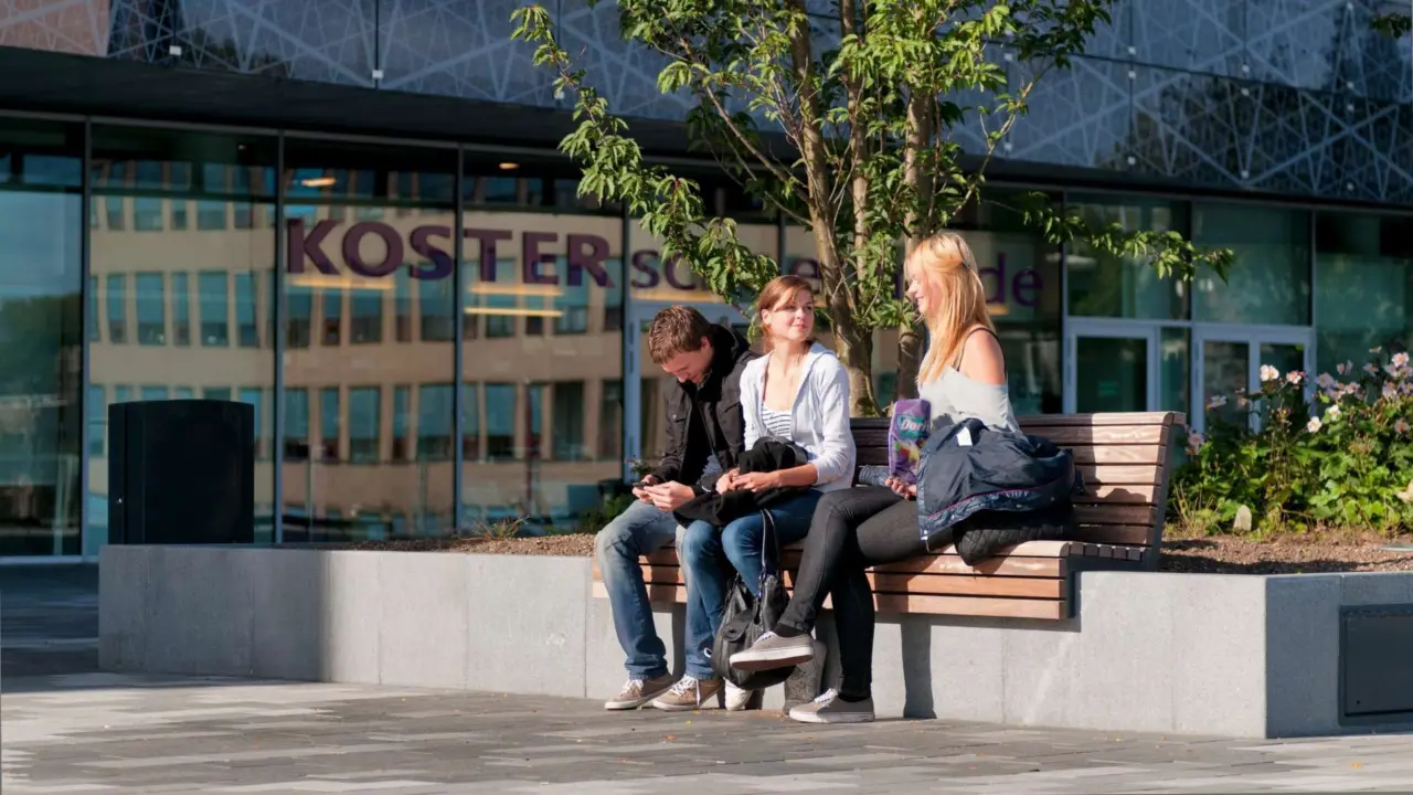 Parkbänke maßgefertigt Stadtzentrum Nieuwegein