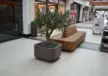 Oosterhout Winkelcentrum Arendshof Plane Solid Solid Plantenbak 4