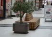 Oosterhout Winkelcentrum Arendshof Plane Solid Solid Plantenbak 7
