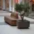 Oosterhout Winkelcentrum Arendshof Plane Solid Solid Plantenbak 5