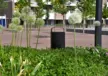 Papendrecht market square Plane Constructo 70 5