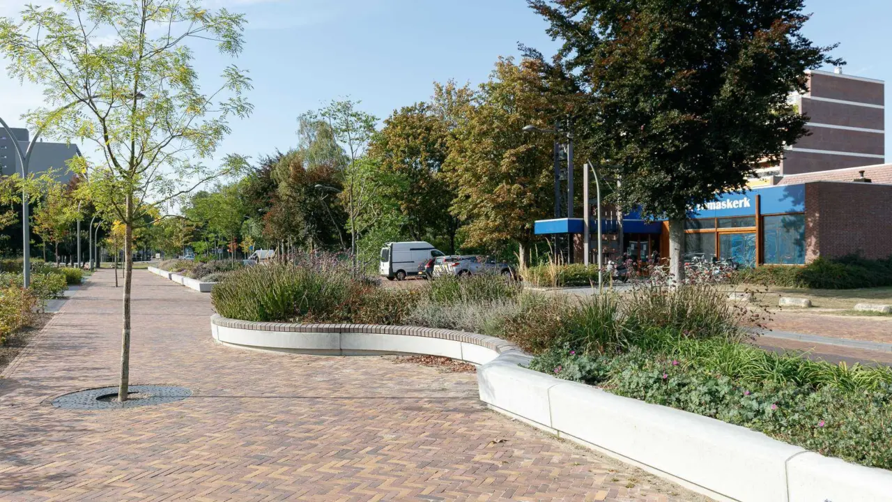 Roermond Donderberg Projecten Grijsen 1