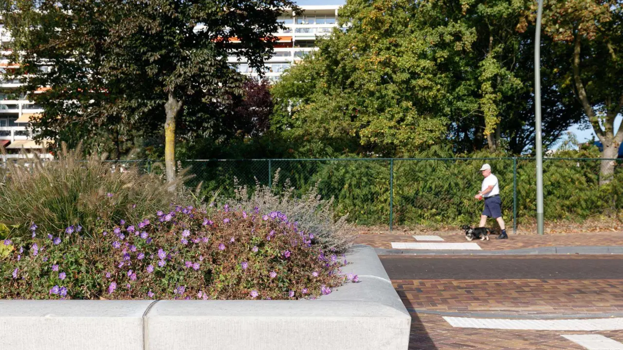 Roermond Donderberg Projecten Grijsen 4