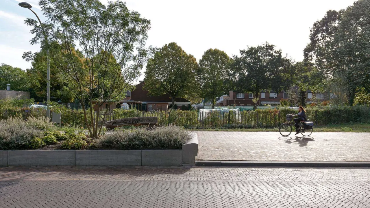 Roermond Donderberg Projecten Grijsen 8