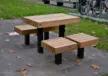 Tilburg University Plane Picknickset Duo Swing 4