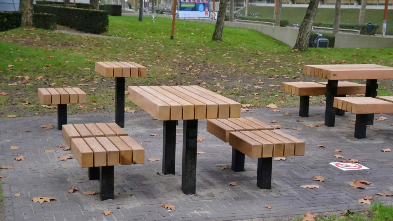 Tilburg University Plane Picknickset Duo Swing 2