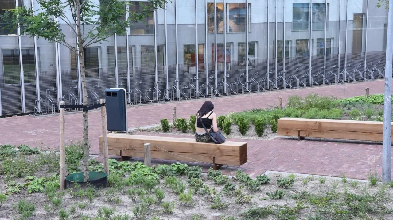 Utrecht Willem Sluyterstraat Grafisch Lyceum Utrecht Buitenbank Pure Eco Douglas 3000 19