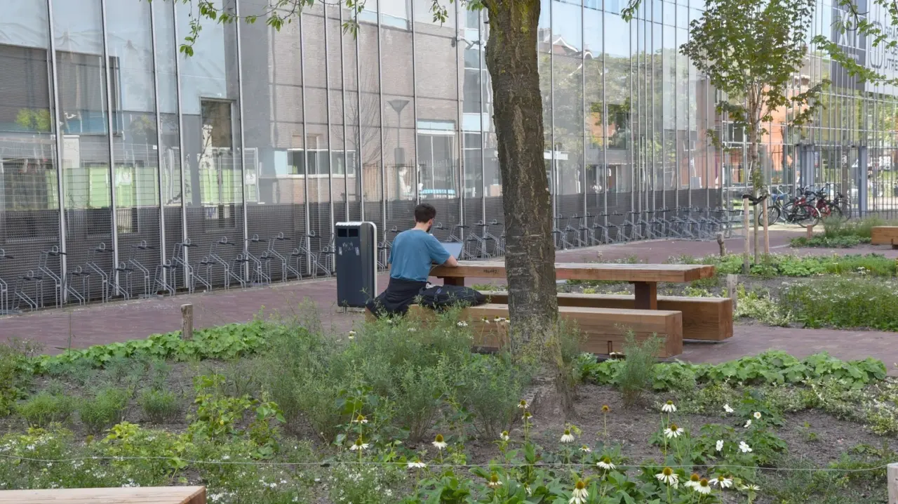 Utrecht Willem Sluyterstraat Grafisch Lyceum Utrecht Picknickset Pure Eco Douglas 3000 2