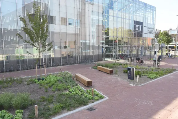 Utrecht Willem Sluyterstraat Grafisch Lyceum Utrecht Buitenbank Pure Eco Douglas 3000 11