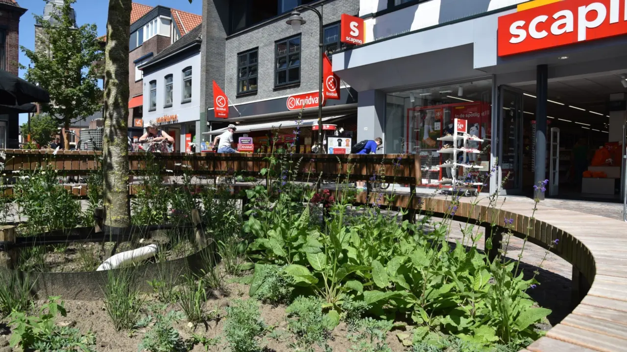 Boombank Winterswijk Centrum 5