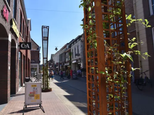 Groenstaanders Winterswijk Centrum 2