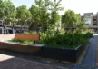 Zevenaar Raadhuisplein Maatwerk Plantenbakken met zitvlak 5